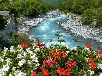 Kamienie, Rzeka, Kwiaty