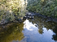 Kamienie, Rzeka, Las