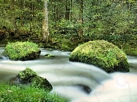 Kamienie, Rzeka, Las