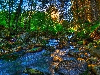 Kamienie, Rzeka, Las