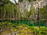 Rzeka, Góry, Las, Drzewa