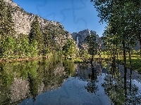 Rzeka, Kalifornia, Góry, Las, Yosemite