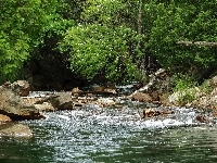Las, Rzeka, Kamienie