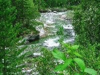Las, Rzeka, Kamienie