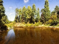 Las, Rzeka, Niebo