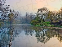 Mgła, Rzeka, Drzewa