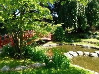 Rzeka, Park, Most, Lato