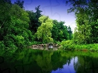 Mostek, Rzeka, Las