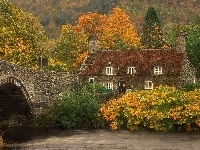 Rzeką, Drzewa, Dom, Nad, Most