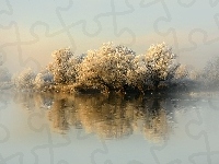 Rzeka, Mgła, Zima, Śnieg, Drzewa