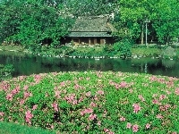 Rzeka, Dom, Ogród, Kwiatki