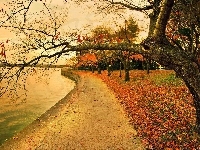 Park, Rzeka, Jesień