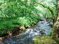 Park, Rzeka, Kamienie