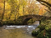 Park, Rzeka, Most