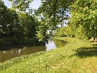 Park, Rzeka, Trawa