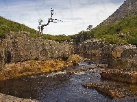 Rzeka, Narodowy, Roślinność, Park, Rocks, Skały