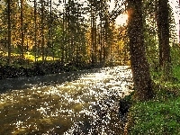 Rzeka, Światło, Las, Rwąca, Przebijające