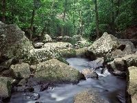 Rzeka, Skała