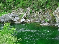 Skały, Rzeka, Las