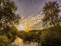 Rzeka, Wschód, Słońca, Las
