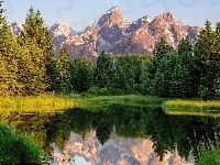Stan Wyoming, Las, Odbicie, Rzeka Snake River, Stany Zjednoczone, Park Narodowy Grand Teton, Góry
