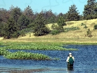 Wędkarz, Rzeka, Drzewa