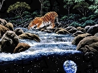 Rzeka, Tygrys, William Schimmel