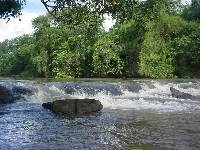 Wodospad, Rzeka, Dżungla