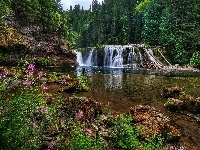 Wodospad Lower Lewis River Falls, Stany Zjednoczone, Osada Cougar, Skały, Drzewa, Rzeka, Las, Stan Waszyngton