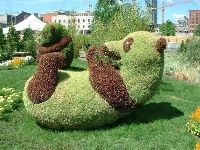 Ogrodowa, Rzeźba, Panda