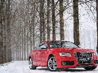 Czerwone, Las, Audi S5, Śnieg, Droga
