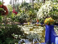 Sadzawka, Ogród, Majorelle, Marrakesz
