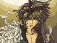 Saiyuki, pióra