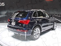 Salon, Audi Q5, Genewa