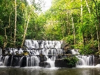 Tajlandia, Park Narodowy Namtok Sam Lan, Las, Wodospad Sam Lan Waterfall, Prowincja Saraburi, Drzewa