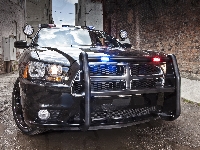 Dodge Charger Pursuit, Samochód, Policyjny, 2014