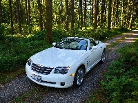 Crossfire, Kabriolet, Chrysler, Drzewa, Droga, Biały, Las, Samochód