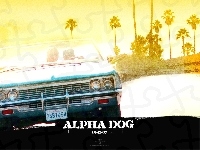 samochód, Alpha Dog, palmy
