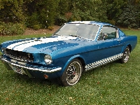 Samochód, Mustang, Ford