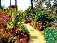 San Marino, USA, Ogród, Botaniczny, Kalifornia