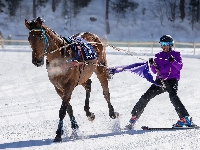 Sankt Moritz, Zawodnik, Koń, Wyścigi konne, Szwajcaria, White Turf