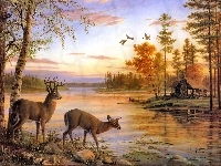 Woda, Mary Pettis, Jeleń, Łania, Domek