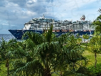 Statek wycieczkowy Mein Schiff 5, Palmy
