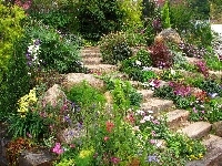 Schody, Ogród, Kwiaty, Kamienie