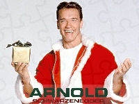 Arnold Schwarzenegger, Prezent