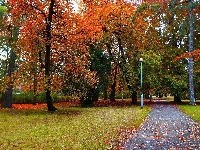 Ścieżka, Droga, Alejka, Gdańsk, Park Steffensa, Drzewa, Polska, Jesień