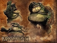 Screen, The Elder Scrolls III: Morrowind