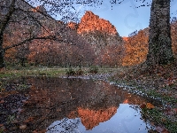 Drzewa, Góry, Portugalia, Serra da Estrela, Jesień, Park Przyrodniczy Serra da Estrela