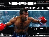 Boks, Shane Mosley