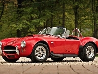 Shelby, Czerwony, Ford, AC Cobra